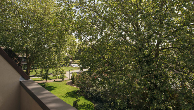 Overnachten op de Veluwe met balkon en groen uitzicht